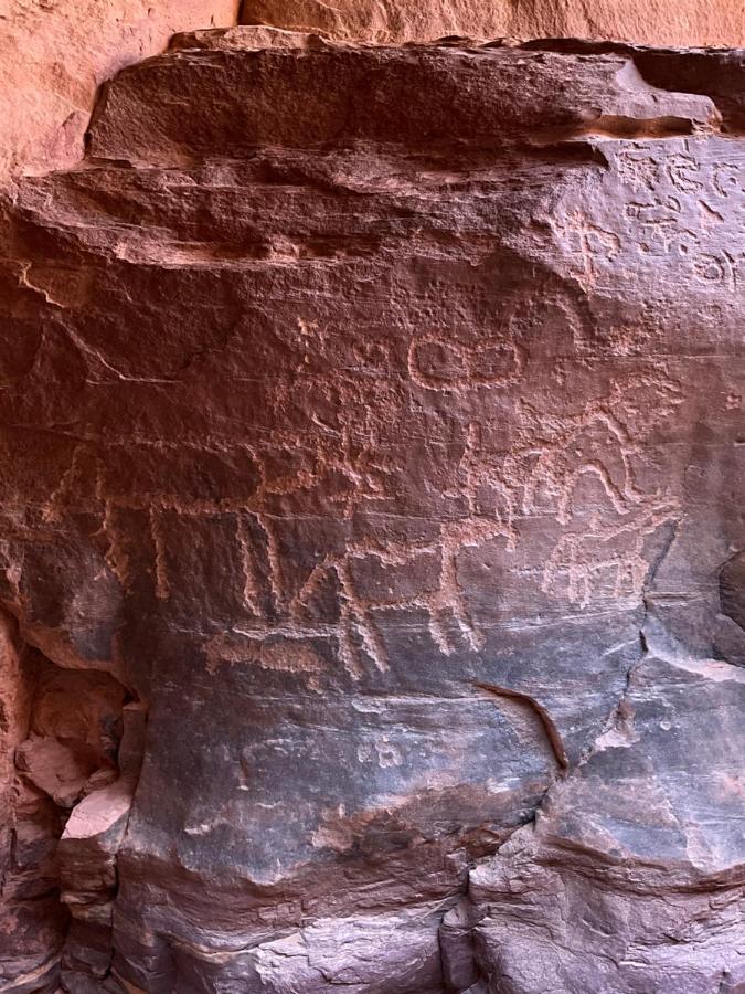 Wadi Rum Bedouin Heart Camp Екстер'єр фото